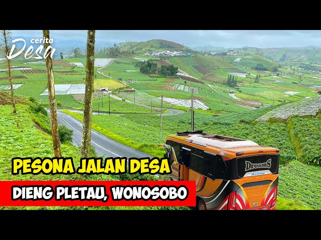 PESONA JALAN DESA MENUJU DIENG !! Cerita Desa Dieng, Kejajar, Wonosobo - Petualangan Alam Desaku class=