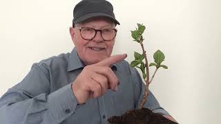 72) Har du plantet et træ har du ikke levet forgæves