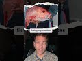 Red Snapper Ban in Florida