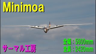 サーマル工房 Minimoa【ラジコングライダー】