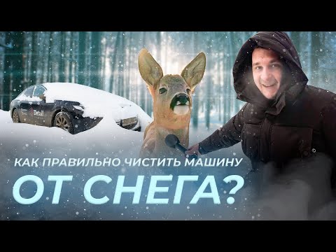 КАК ПРАВИЛЬНО ЧИСТИТЬ МАШИНУ ОТ СНЕГА БЕЗ ПОВРЕЖДЕНИЙ КУЗОВА