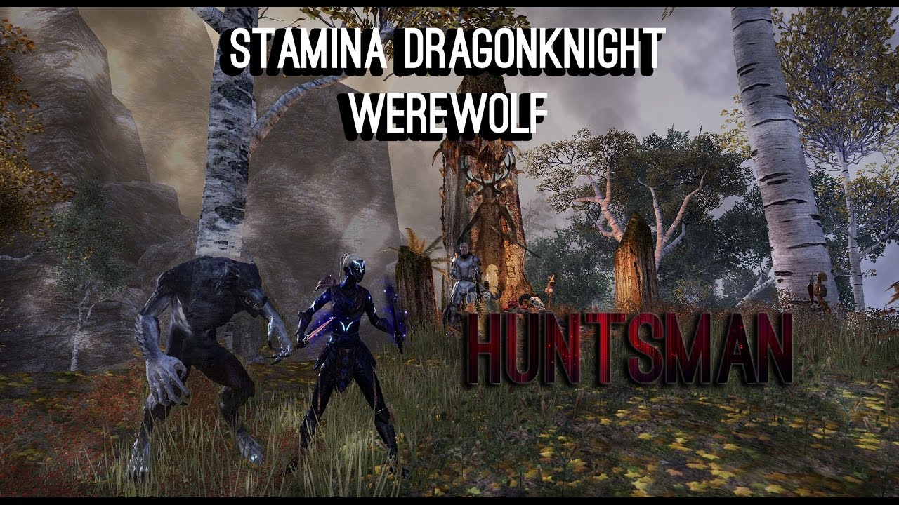 Elder Scrolls Online Best Solo Pve Build Elder Scrolls Online Best Solo Pve Build