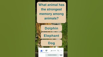 #generalknowledge #triviaquestionsandanswers #pubentertainment #didyouknow #triviaseries #pubquiz