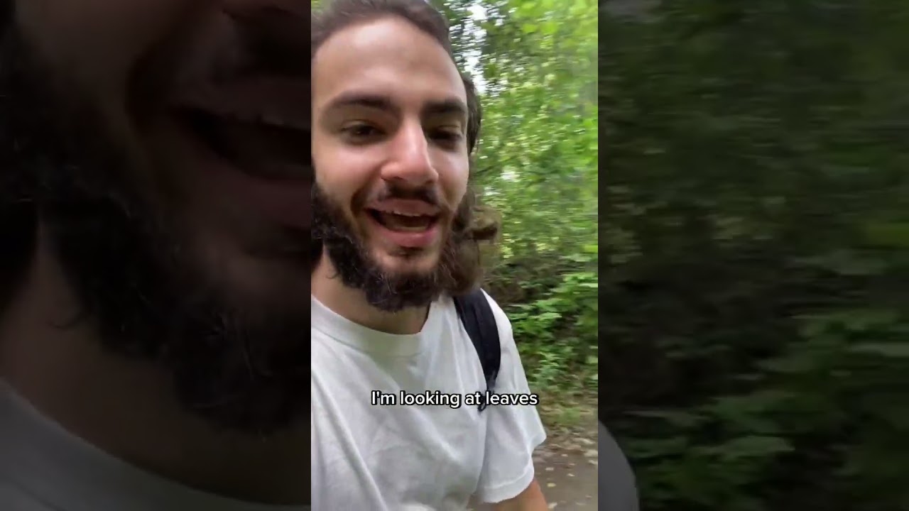 Be in your element 🌲