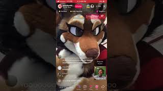 Bruhhhh IShowSpeed tellin a Furry how he looks like……..
