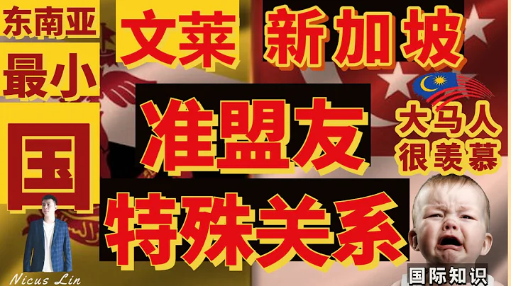 新加坡 星國 李顯龍 和 文萊 建立了罕見特殊關係在東南亞，為何新元 新加坡錢會大馬來西亞 馬幣 3倍？為何有那麼多大馬人在新加坡獅城工作？而很少文萊人去新加坡打工？Singapore Brunei - 天天要聞