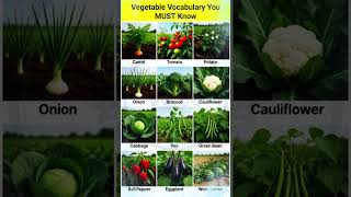 🥕 Vegetable Vocabulary | Learn Fast English Words #EnglishShorts #vocabulary #youtubeshorts #shorts