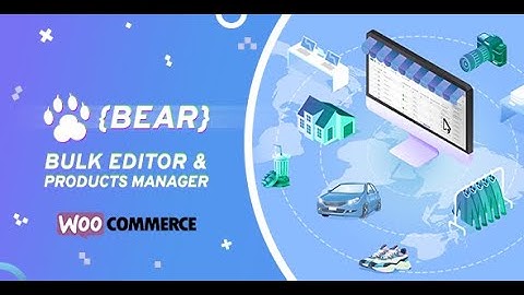 BEAR   WooCommerce Bulk Editor and Products Manager Professional   - lesson #1, Quick Start