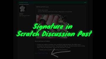 Easy Steps to Add Signature in Scratch Discussion Post - Easy Tutorial