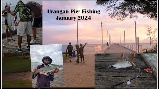 Urangan Pier Fishing -Hervey Bay by bashir k 2,129 views 4 months ago 11 minutes, 28 seconds