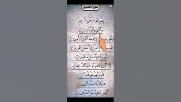 سورة التين ☝️✨#subscribe #اكسبلور #like #quran #لايك #please
