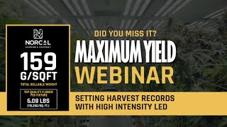 159 Grams per Sq. Ft.?! Setting Harvest Records with High Intensity LED - Webinar