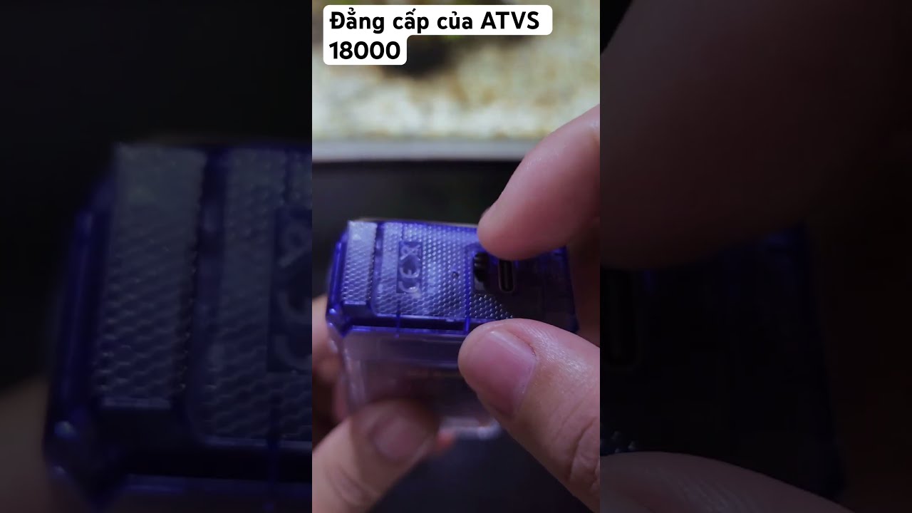 ATVS 18000 Xuhuongtiktok Podbienhoa Pod1lan