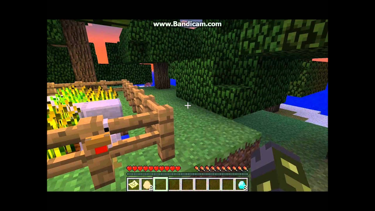 Lets Play Escape Island with theB1FFS and AllBranGaming! - Part 1