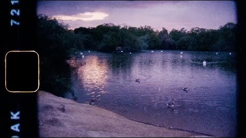 martin luke brown - tug of war [Official Visualiser]