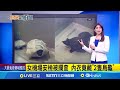 罷免政治運動的社會影響