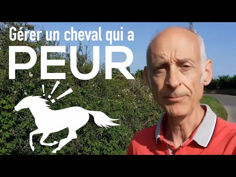 Vidéo: Comment gérer un cheval effrayé