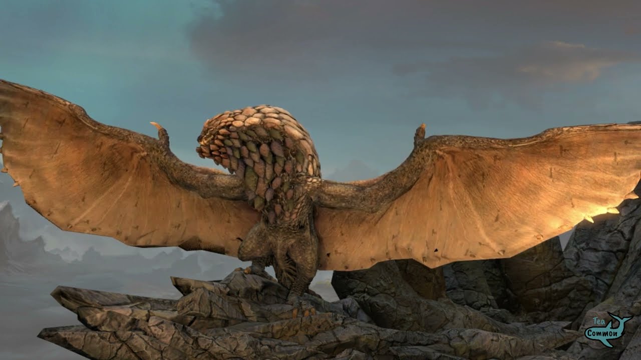 Bazelgeuse sunbathing