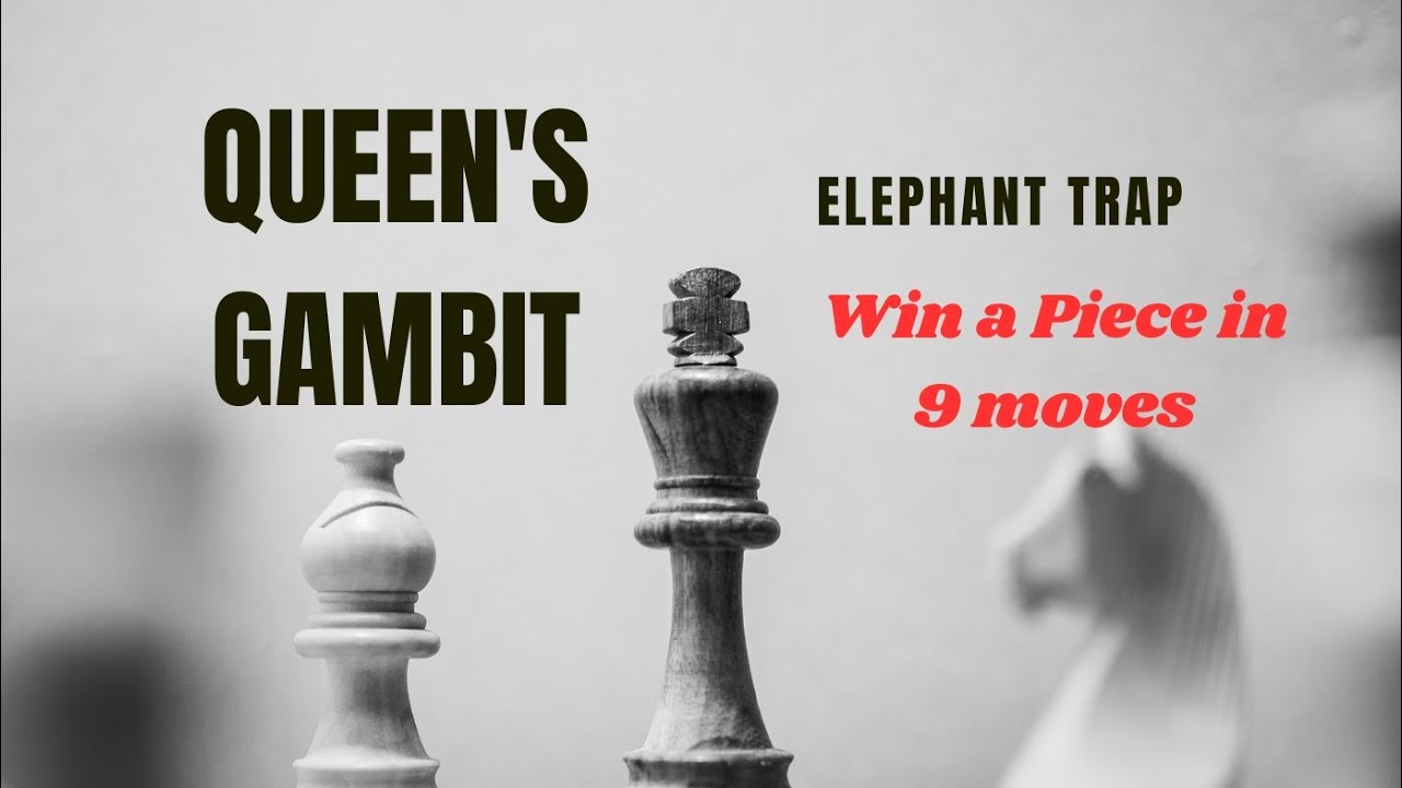 Elephant Trap,Queen's Gambit Opening, Black to Play,Win a Piece in 9