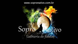Musica Xamanica para relaxar e meditar - sons da natureza e flauta indigena