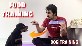 HOW TO TRAIN YOUR PUPPY FOR FOOD DISCIPLINE | 3 MONTHS OLD ROTTWEILER PUPPY TRAINING | DOG TRAINING