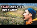 Нашел в горах ЧЁРТОВО болото!