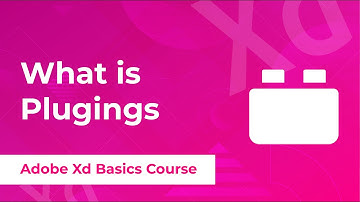 What is Plugings Learn Adobe Xd Basics UX/UI Design Complete Course in Urdu /Hindi