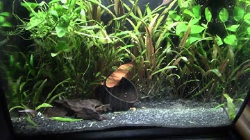 October 2025 all tanks update