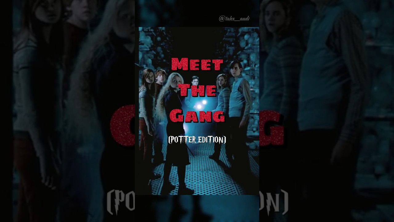 Meet My Gang 👑 | Potter Edition 
