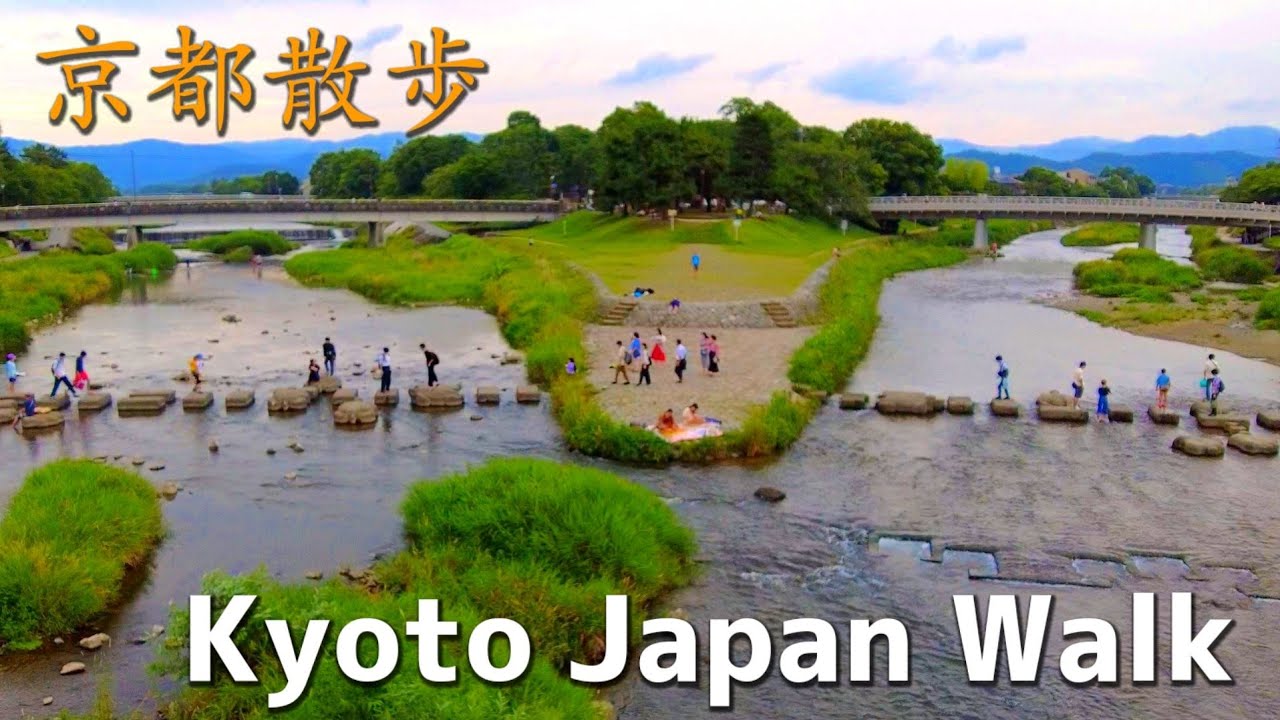 京都散歩 鴨川デルタ/糺の森/下鴨神社 6/25(土)Kyoto Japan walking tour【4K】