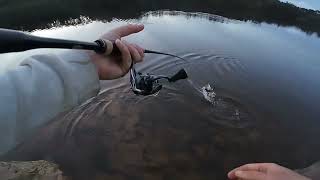 NON-STOP bites WITH this LURE 😮 || Blue Mountains FISHING