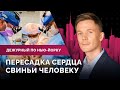 Смертельное ДТП, пересадка сердца свиньи, иммиграция в США / Дежурный по Нью-Йорку 14.07.22