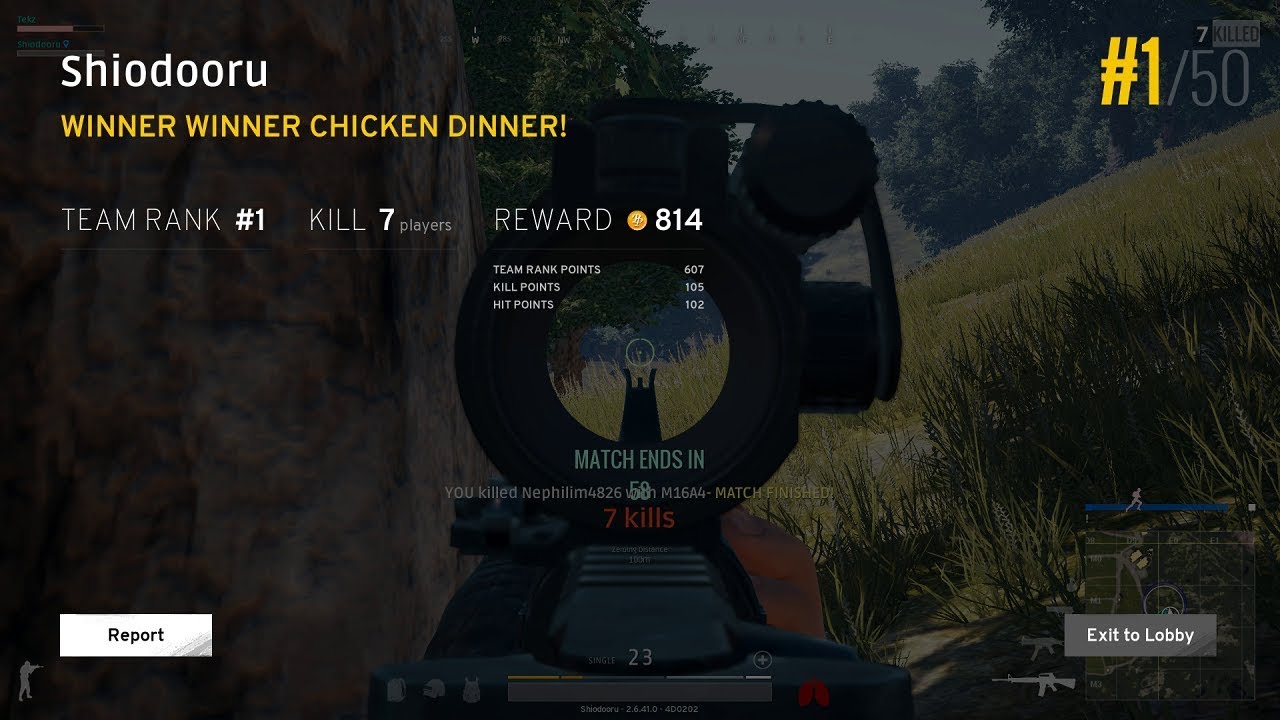 Chicken Dinner Highlights #1