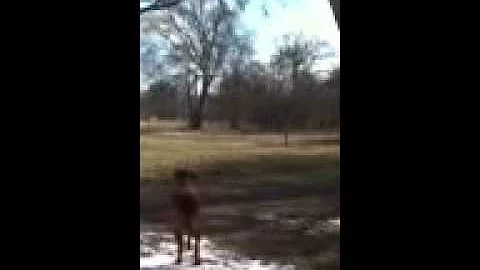 Aaron Aday tannerite