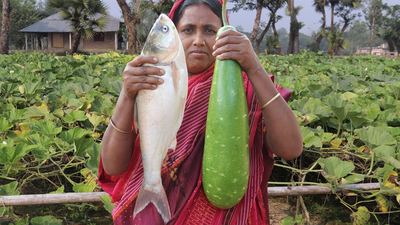 How To Cook Bottle Gourd Recipe in Village Style Farm Fresh Bottle Gourd and Silver Carp Curry