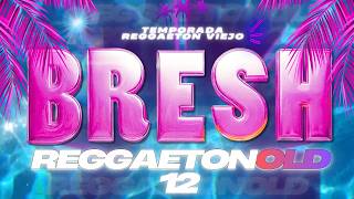 ⏮️BRESH REGGAETON VIEJO OLD SCHOOL⚡DJ GAB⚡SET Mix MAYO💣  Daddy Yankee, Don omar, Plan B...