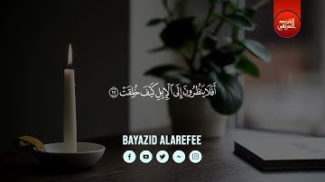 أواخر سورة الغاشية - بايزيد العريفي