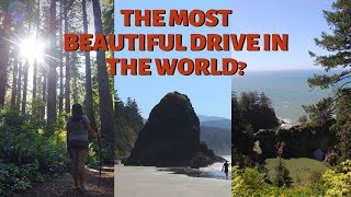 SURPRISED by Redwood Trees in California - USA roadtrip #vanlife