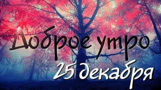 Доброе Утро - Выпуск 29 (25.12.2018)