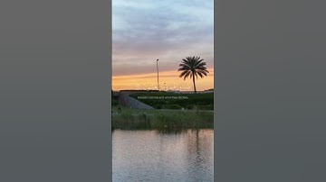 وان ربك ليعلم ما تكن صدورهم🌻🍂|القارئ اسلام صبحي #القرآن_الكريم