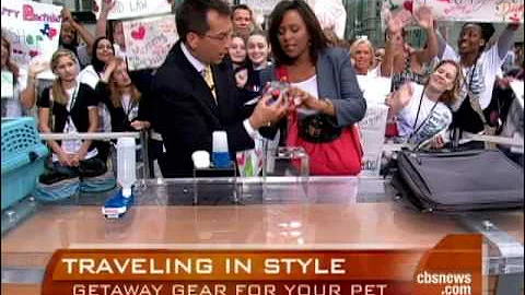 Best Pet Travel Gear