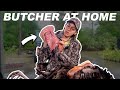 How to butcher a wild turkey  quick  easy 