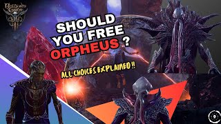 Baldur's Gate 3 - Should You Free Orpheus ? All Choices Explained !!