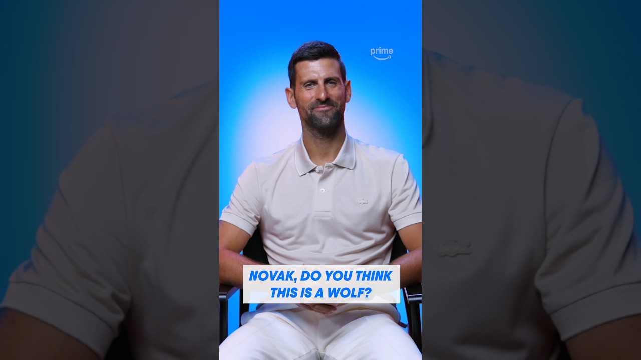 Novak Djokovic is a certified wolf-knower 🐺