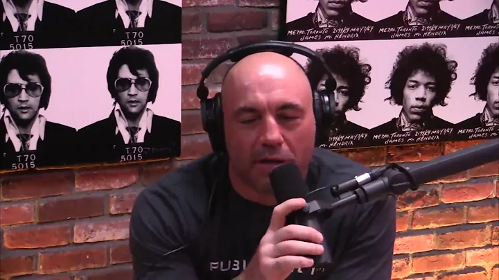 Joe Rogan & Duncan Trussell on Masturbating Dolphins - hilarious!