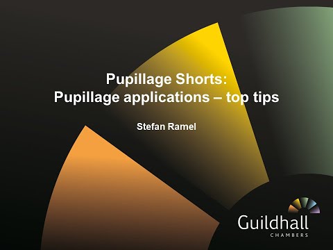 Pupillage Shorts - Application process - top tips