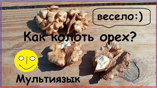 Как колоть грецкие орехи. Два способа. Смешная озвучка / How to crack nuts