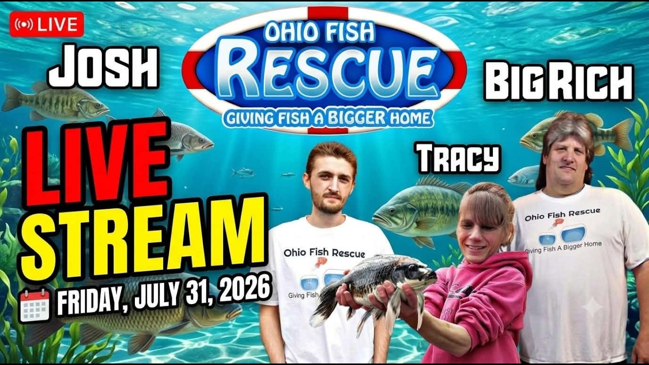 7/31/26 stay fishy livestream