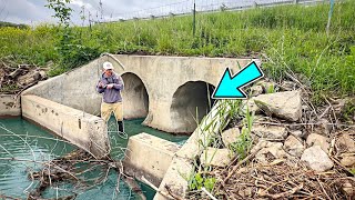 I Found A ROADSIDE TUNNEL Full Of AGGRESSIVE FISH!!! (Unbelievable)