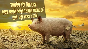 Ý trời. Quý Hợi 1983, tử vi thấy duy nhất một tháng trước tết âm trúng số. Giàu nổi bật